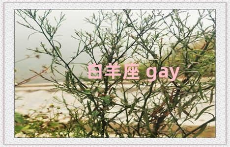 白羊座 gay